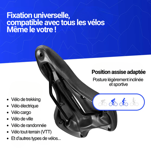 Borcelle - 3.0 Sport+