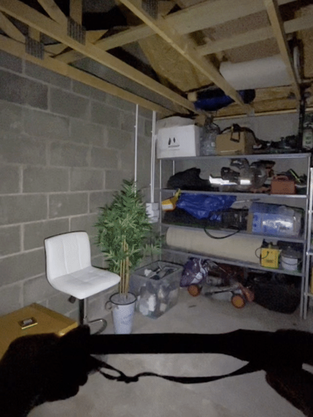 Vous avez besoin de L'AdventureLight™